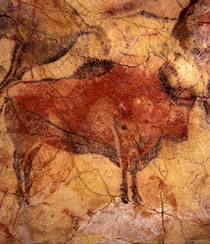Abbildung Bison